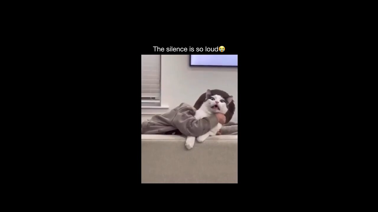 what the hell ? bro...😾