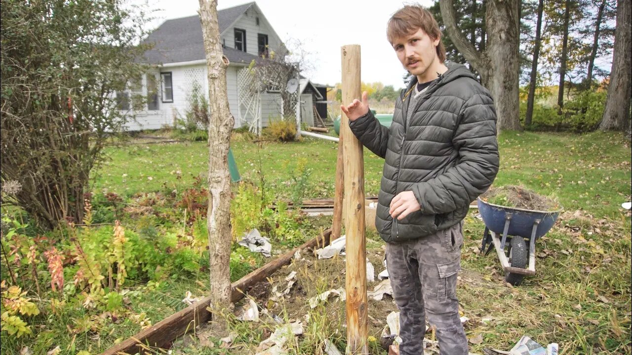 How to choose garlic for planting. The Great Garlic Experiment - The Homestead #14