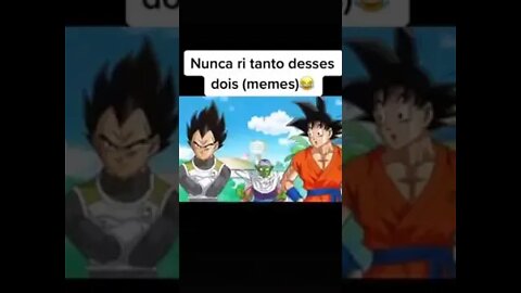 Goku 1000 Grau