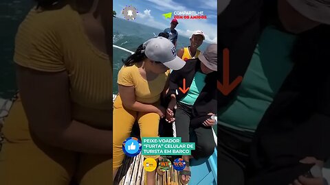 Todo cuidado é pouco ao andar de barco - Peixe voador "furta" celular de turista, veja: