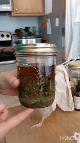 Straining My Antibiotic Tincture