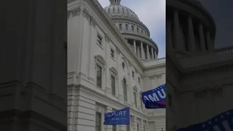 🤦🏾‍♂️ Why do Trump Supporters think they own the Capitol Building? #trumplost #blm #viral #shorts