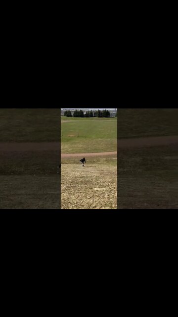 Longboarding fast on grass