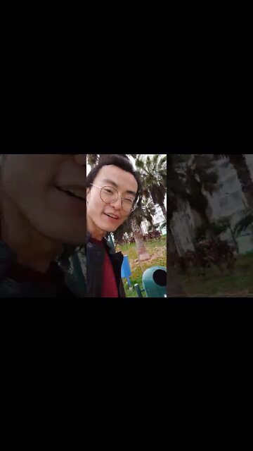 Eagle on Garbage Can