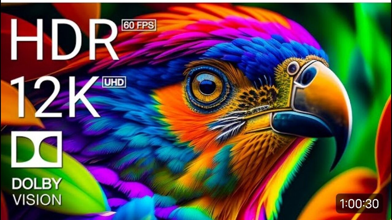 12K HDR 60FPS DOLBY VISION - COLORFUL WORLD ANIMALS - ANIMALS SOUNDS