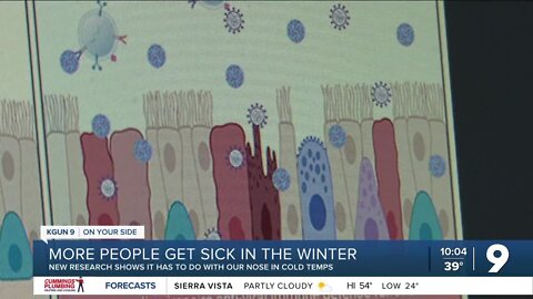 Why more people get sick in the winter months