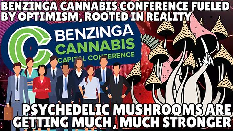 Benzinga cannabis conference fueled by optimism, rooted in reality