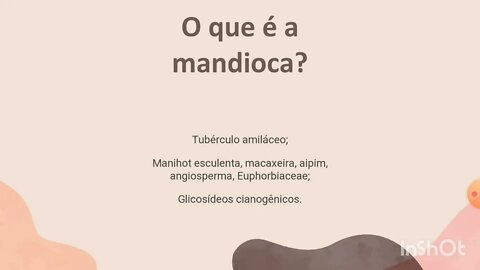 [pt. 2] Mandioca: para que serve?