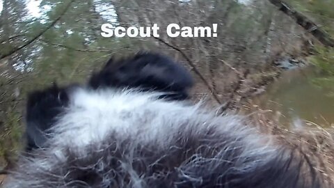 Scoutcam!