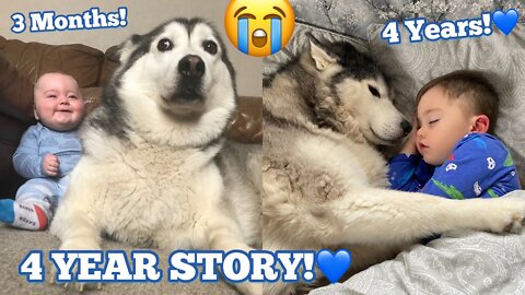 The Full 4 Year Story Of My Husky & Baby Becoming Best Friends!!