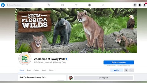 Fake ZooTampa event is one of many to watch out for on Facebook