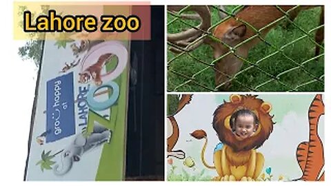 i went to lahore zoo with my 15 month old baby | day out with family | #fizafarrukh