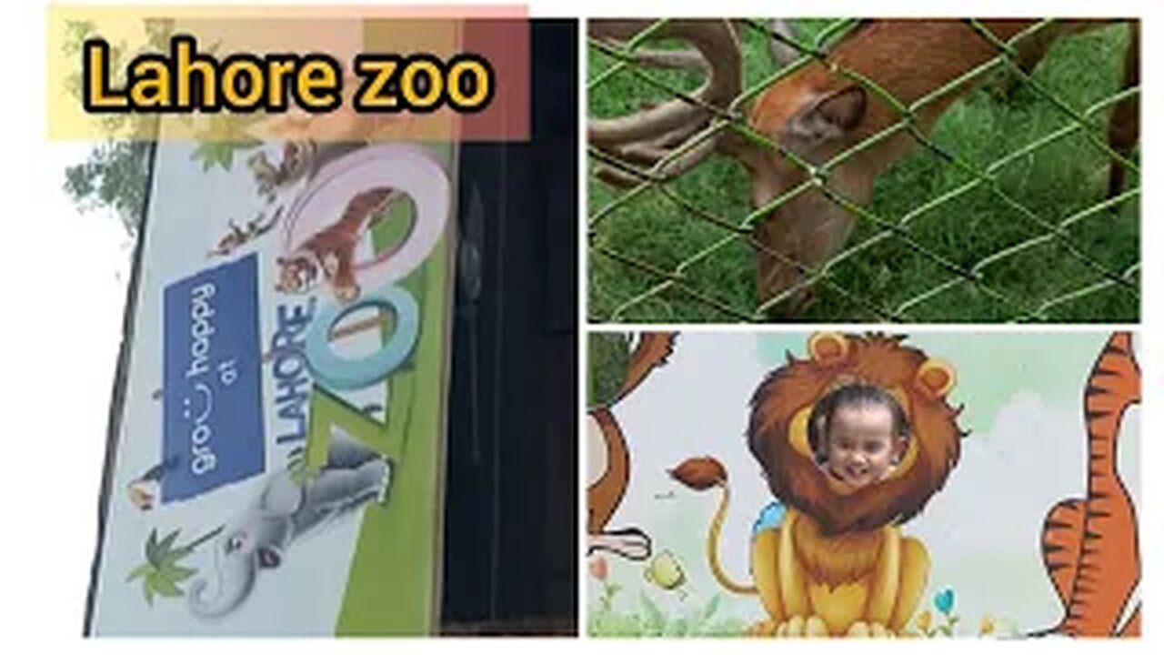 i went to lahore zoo with my 15 month old baby | day out with family | #fizafarrukh