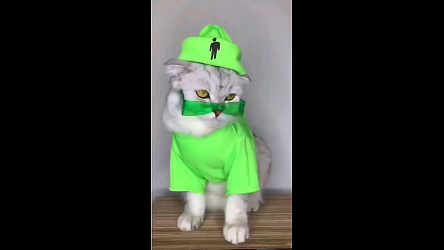 Billie Eilish cat Cosplay