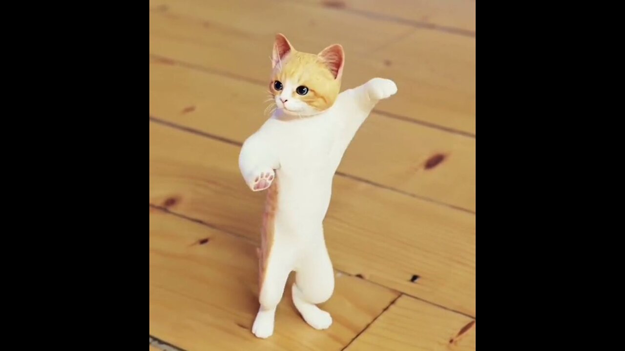 The Cutest and Funniest Cat Videos You'll Ever See"