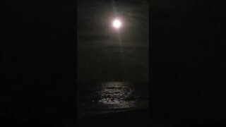 Happy Full Moon in AQUARIUS August 2022