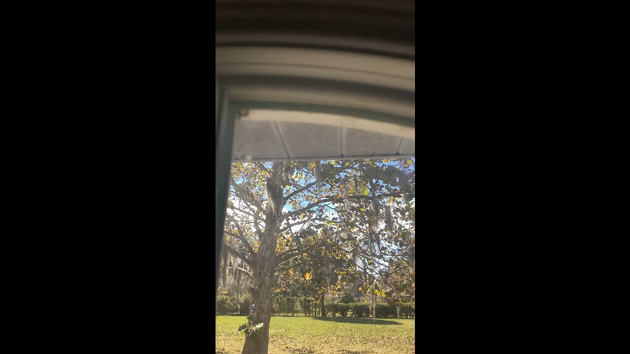 Nature psa