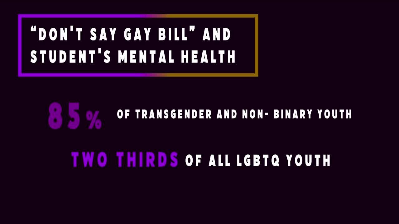 The potential mental health impact the 'Don't Say Gay' bill could have