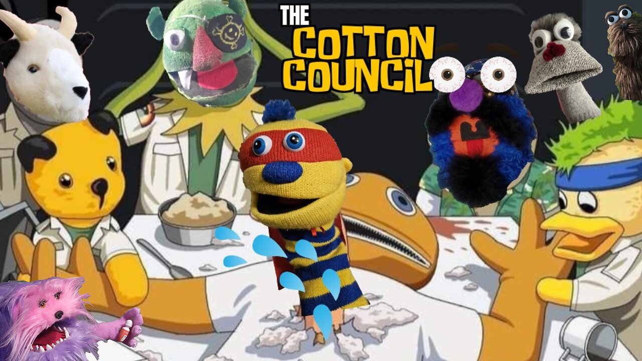 The Cotton Council | Never Know Who Pops Up