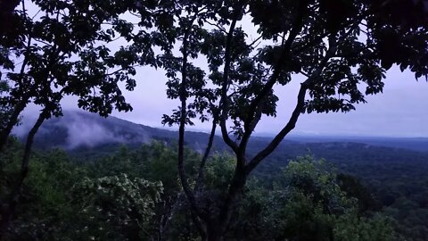 Morning in Big Canoe - 07/07/20