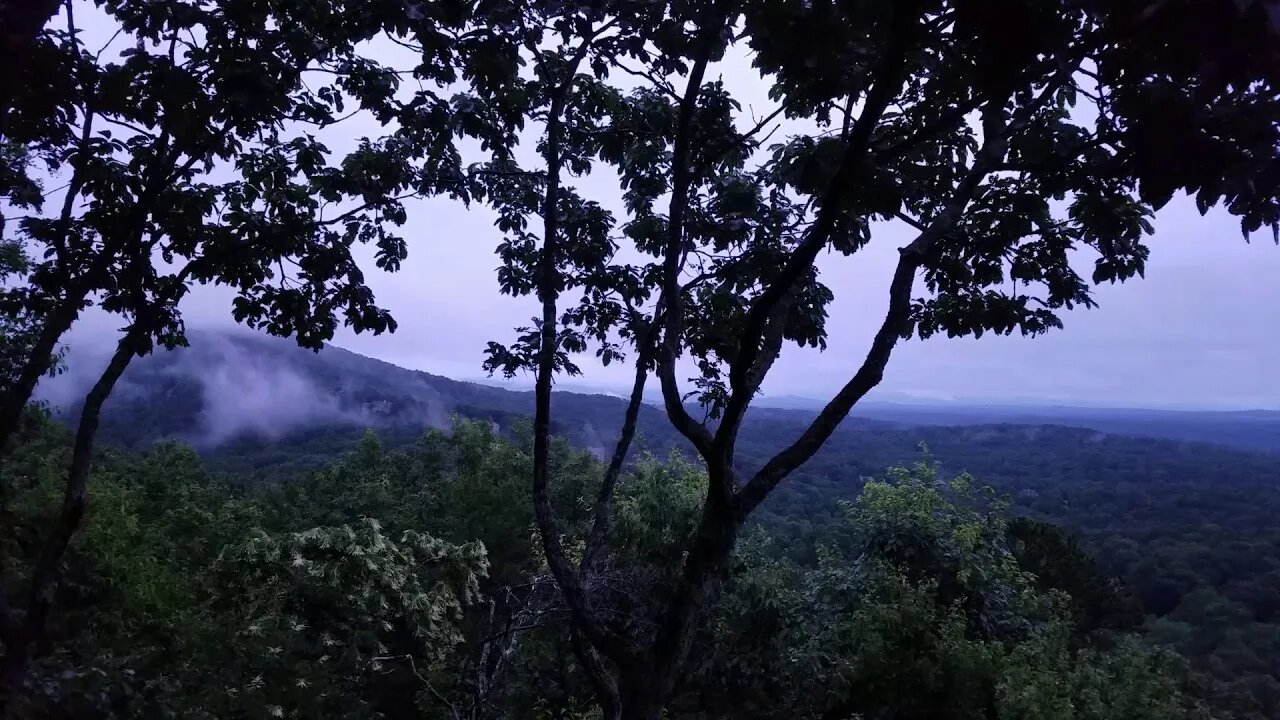 Morning in Big Canoe - 07/07/20