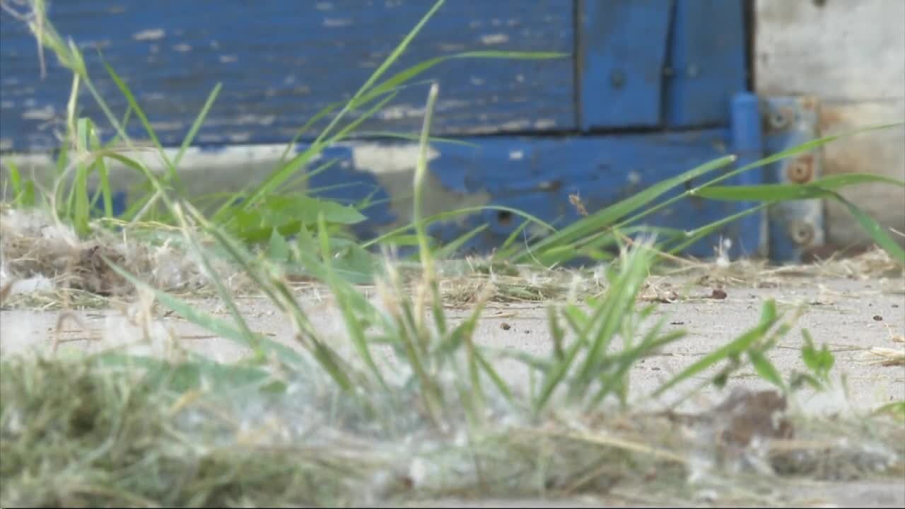 Cheektowaga man concerned about shed as property is caving in at mobile home park