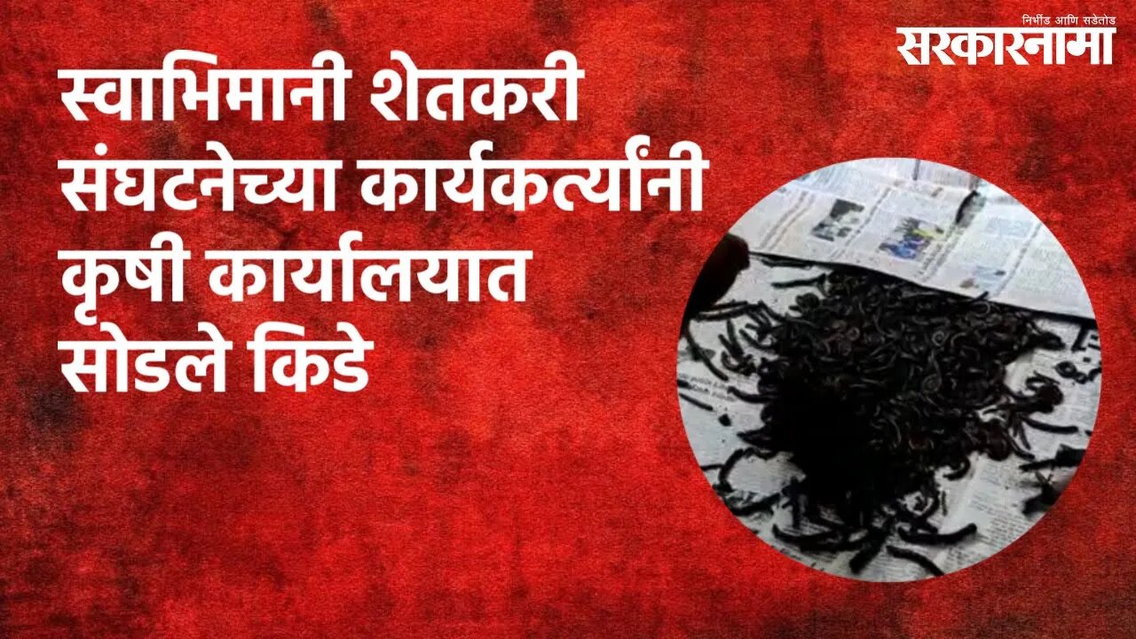 स्वाभिमानी शेतकरी संघटनेच्या कार्यकर्त्यांनी कृषी कार्यालयात सोडले किडे | Maharashtra | Sarakarnama