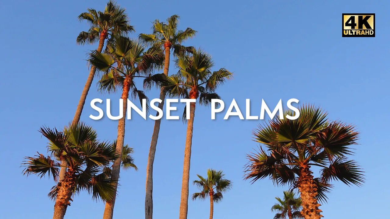 Golden Sunset Palms 🌅🌴 Relaxing Ocean Waves, Children's Laughter, and Birdsong