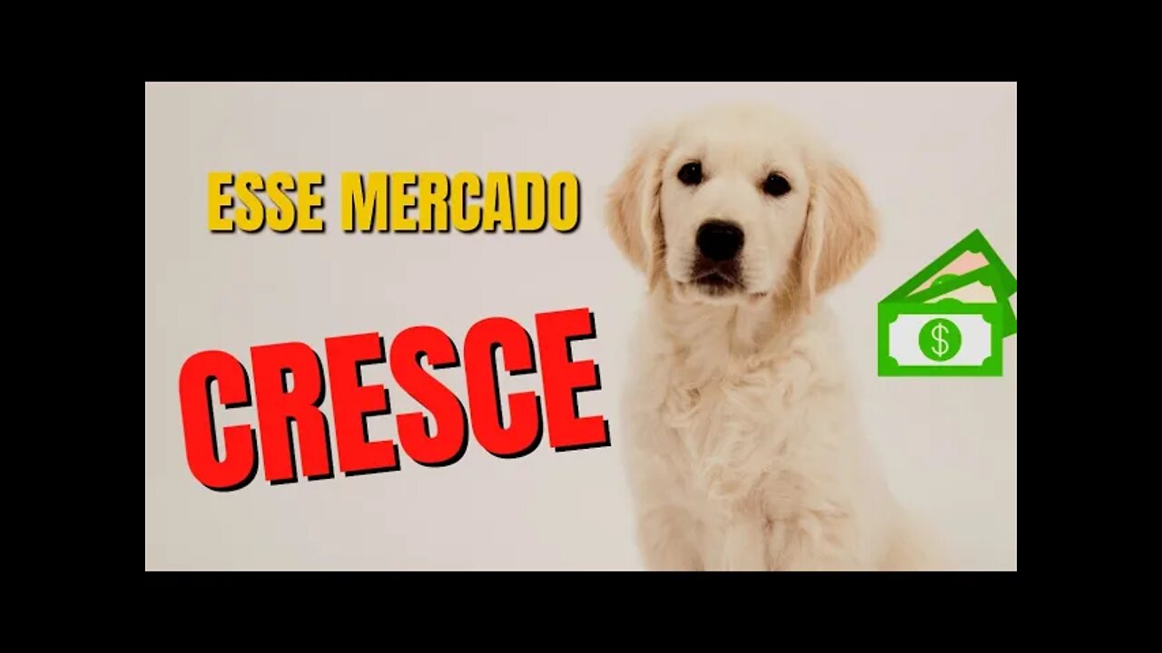 IDEIAS DE NEGÓCIOS: Empreender no Mercado de Pets #shorts