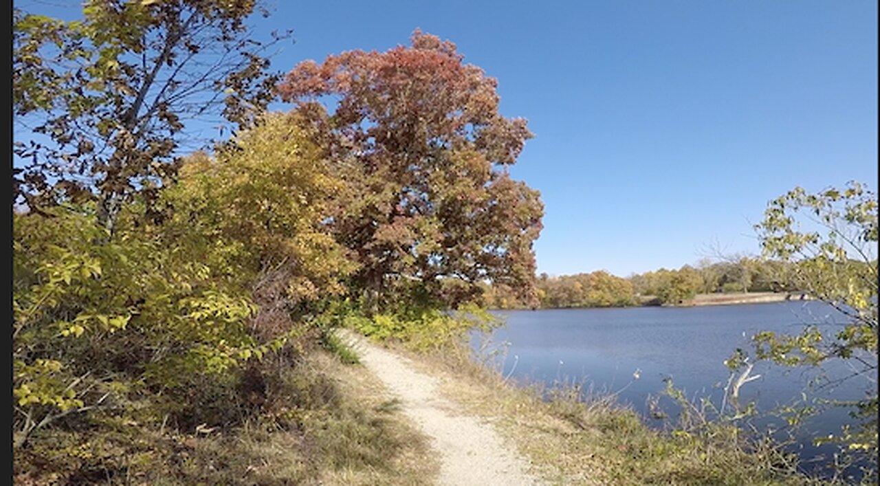 Weldon Springs State Park Central Illinois