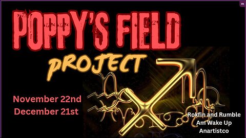 11/27/2024 Poppy's Field Project