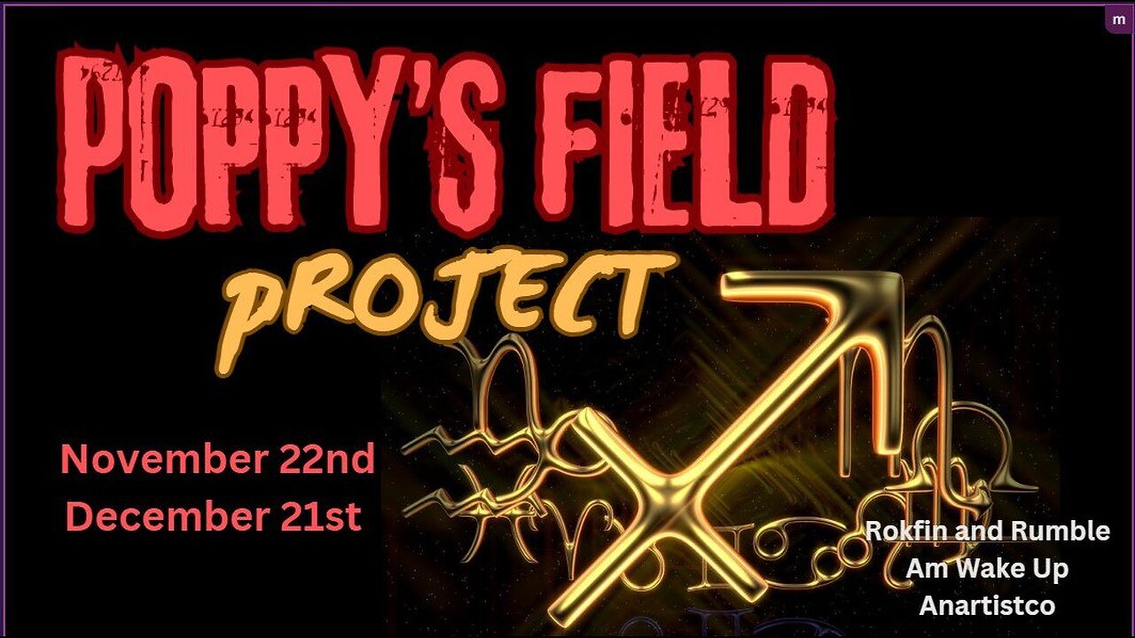 11/27/2024 Poppy's Field Project