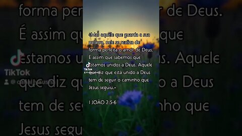 1 João 2:5-6 #canalyausha