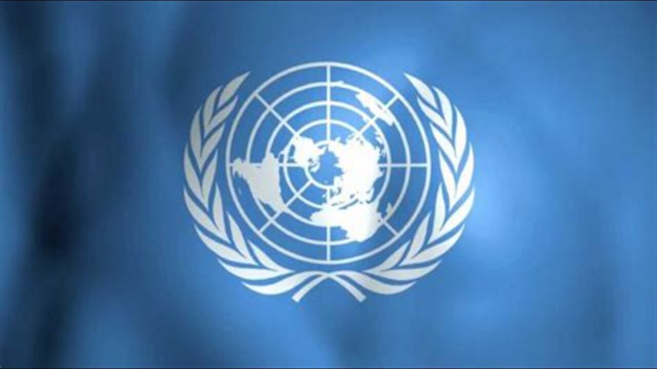 Let's Chat about the UN pushing NWO!