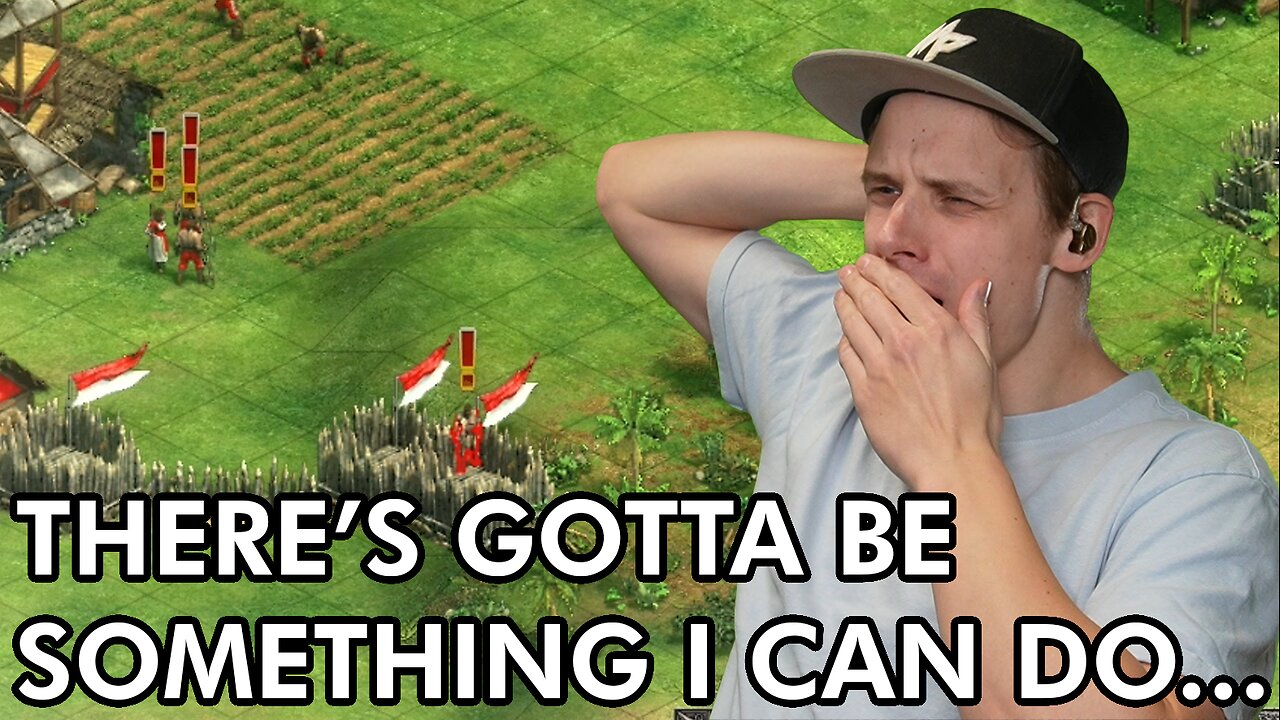 Time to Stop doing Nothing! - Age of Empires 2 Stream