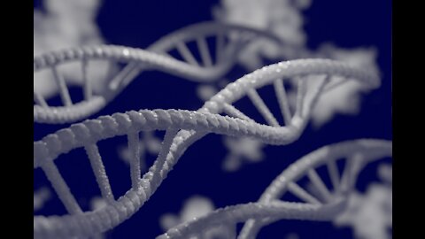Cytokines Series: Granulocyte Colony Stimulating Factor - The immune system trigger #shorts