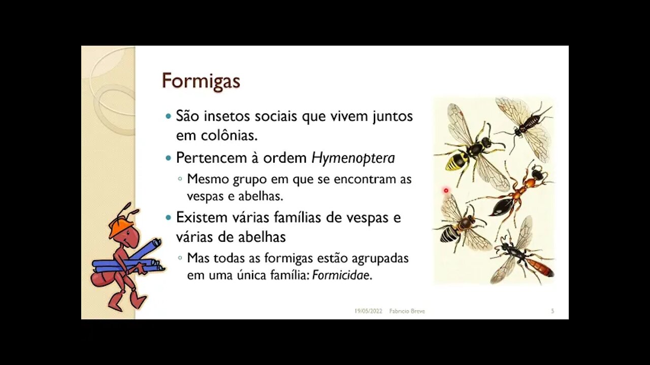 10 - Colônias de Formigas - Computação Inspirada pela Natureza (compactação corrigida)