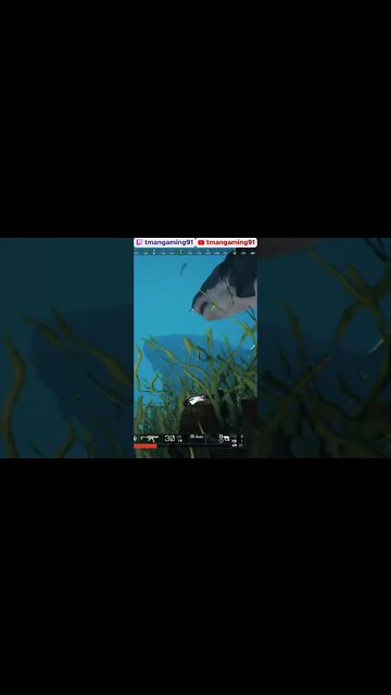 It Doesn't Even Know I'm Here