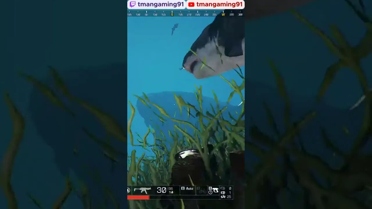 It Doesn't Even Know I'm Here