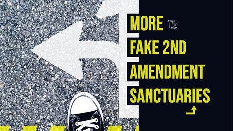 More Fake 2nd Amendment Sanctuaries