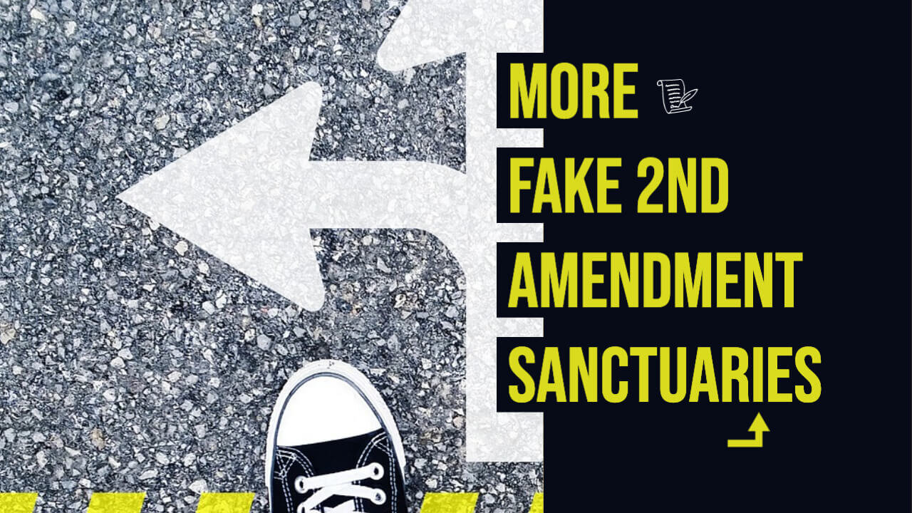 More Fake 2nd Amendment Sanctuaries