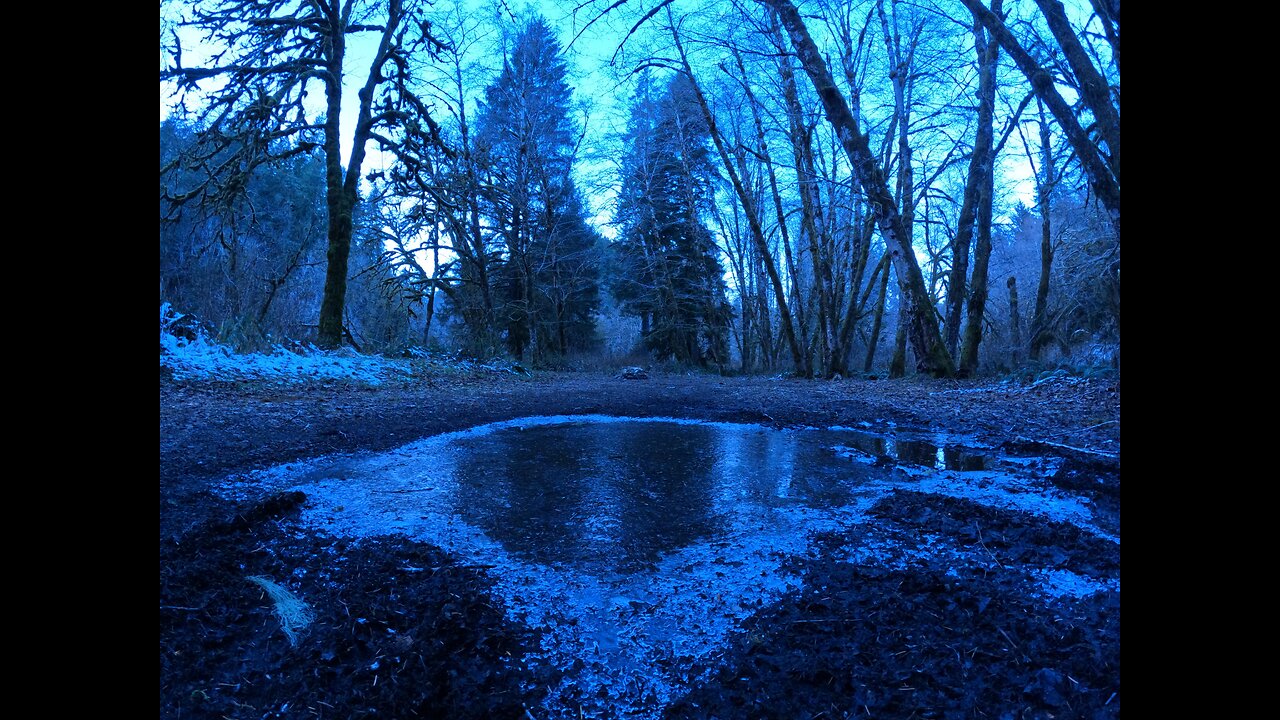 DISPERSED CAMPING NEAR HENRY RIERSON SPRUCE RUN CAMPGROUND Off of Lower Nehalem Road. PARTS I & II