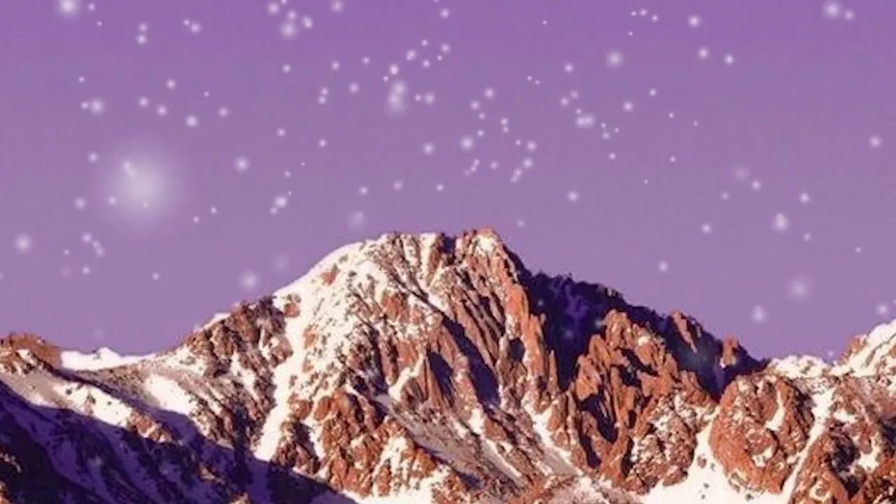 Wandering through the Forest