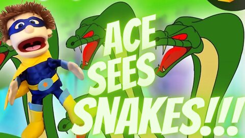 Ace Sees Snakes