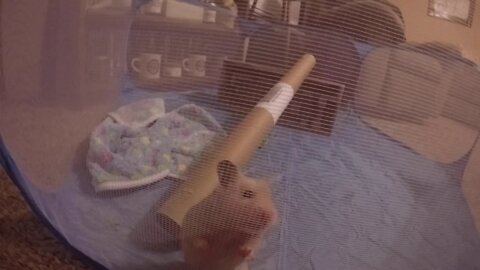 One crazy hamster! Joey B Wyatt