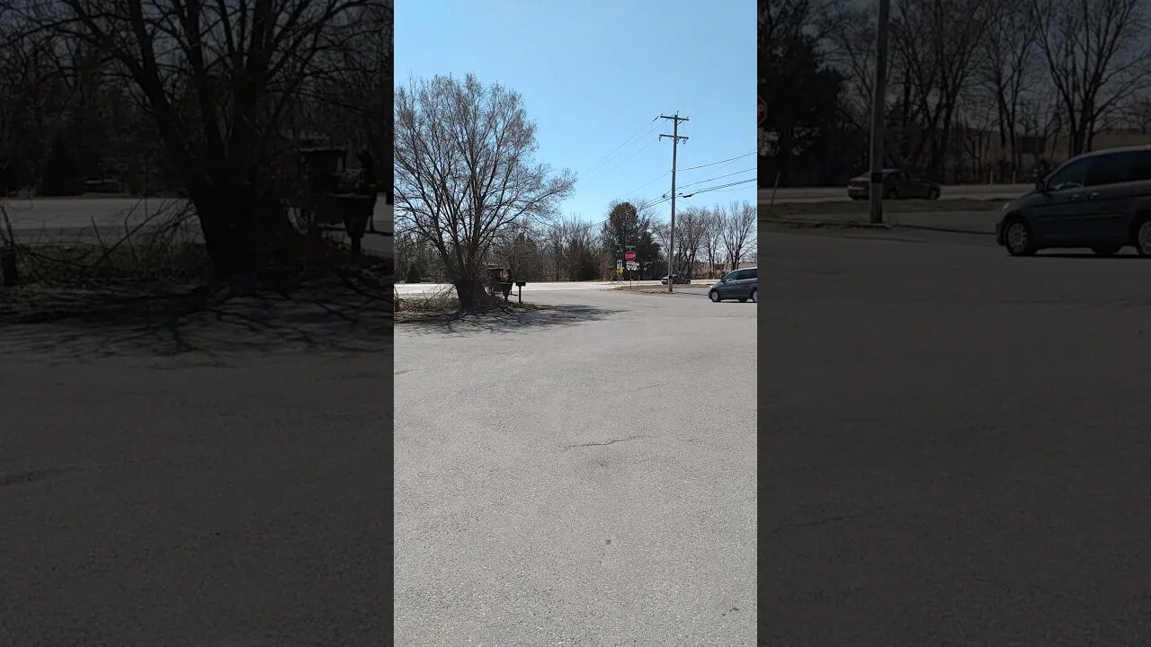 Amish buggy Kutztown PA March 21, 2021