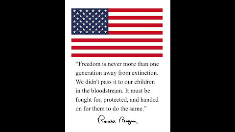 What is Freedom to you