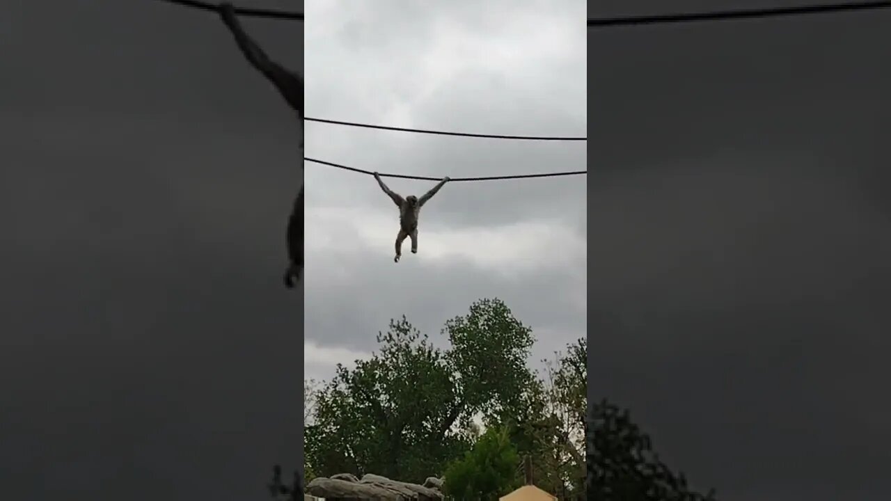 Never give up-let the haters motivate you to finish💪🏽