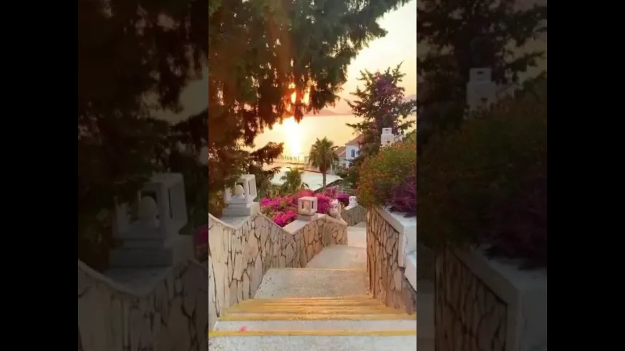 🧚♀️🧚♀️🧚♀️🧚♀️🧚♀️🧚♀️🧚♀️🧚♀️🧚♀️🧚♀️🧚♀️🧚♀️🧚♀️🧚♀️🧚♀️🧚♀️🧚♀️🧚♀️🧚♀️🧚