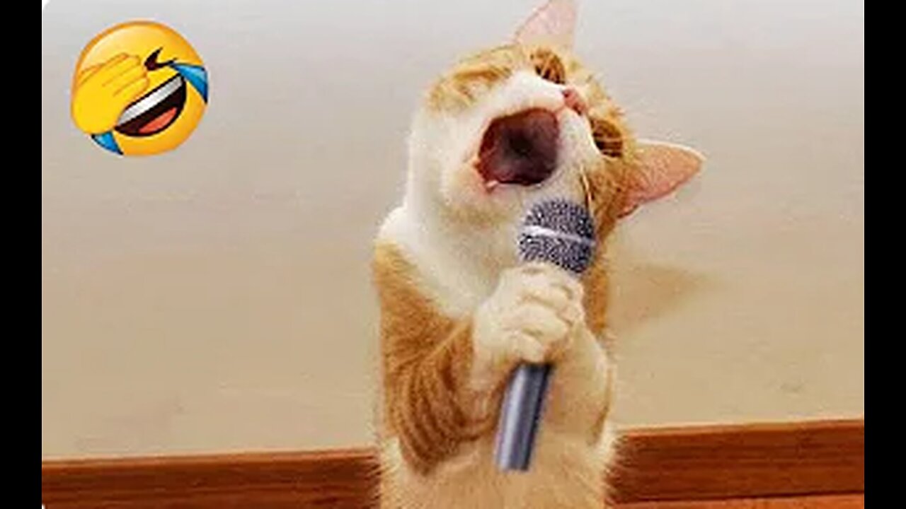 Funniest Animals 2023😂 Best Funny Cats and Dogs🤣🤣